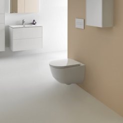 אסלה תלויה לאופן שוויץ