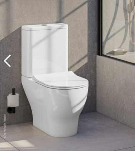 אסלת מונובלוק מומלצת