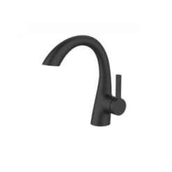 ברז פרח ברבור שחור מט